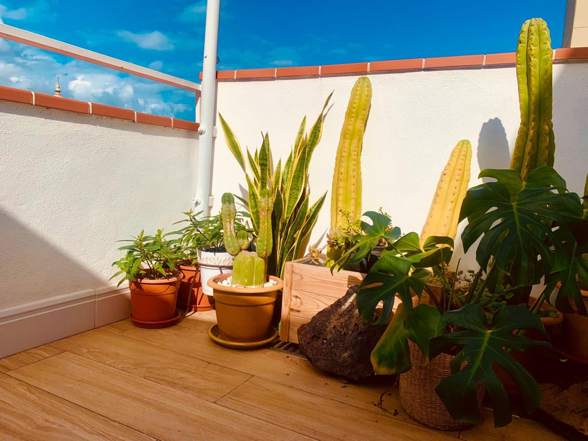 Atico Con Terraza, Vistas Panoramicas Y Parking Apartment Santa Cruz de Tenerife Bagian luar foto
